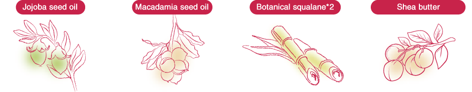 Natural protection components formulated in arau.baby Maternity Skin Cream. They are jojoba seed oil, mcadamia seed oil, botanical squalane, and shea butter.