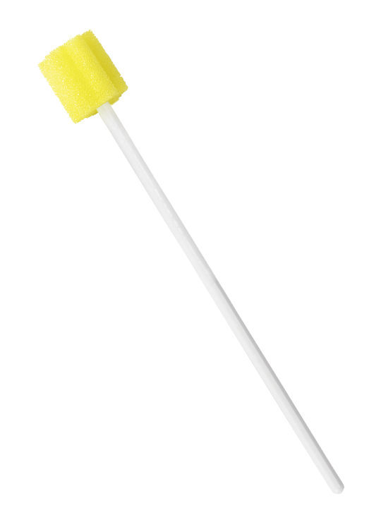 Saraya Sponge Brush Box