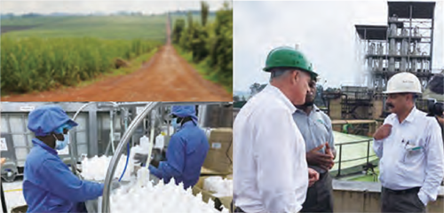 Figure 5. Saraya alcohol-based handrub production site in Uganda
