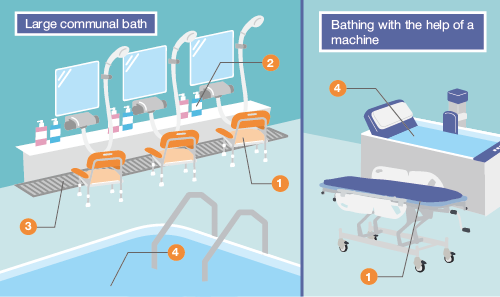Potential infection risk areas illustration