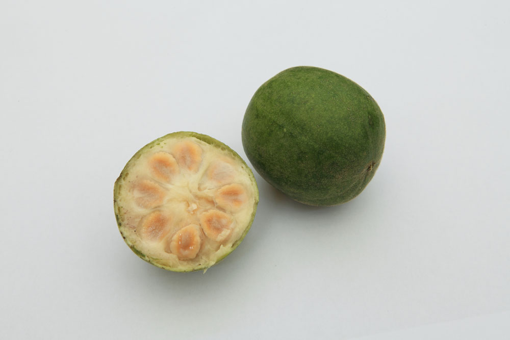 Raw monk fruit