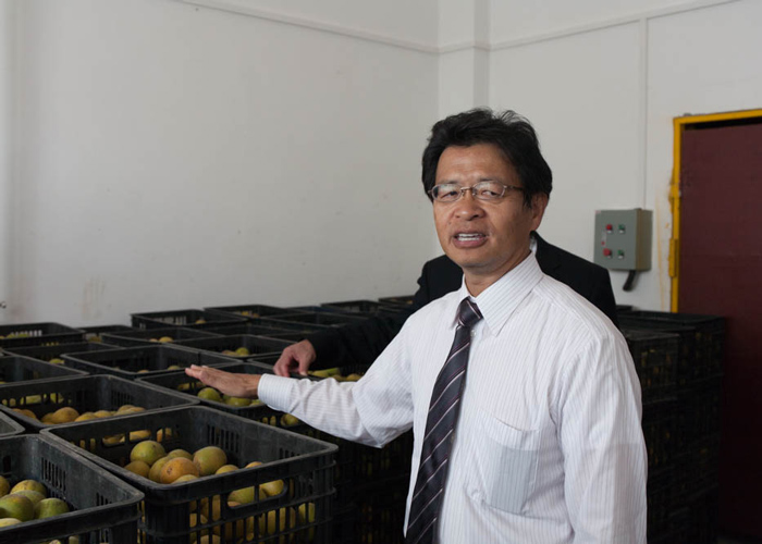 Dr. Murata explaining the Monk fruit extraction process.