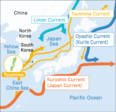 Ocean currents around Tsushima.