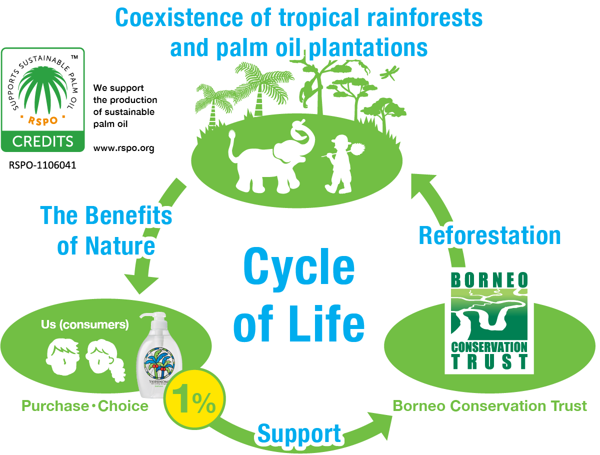 Yashinomi Cycle of Life